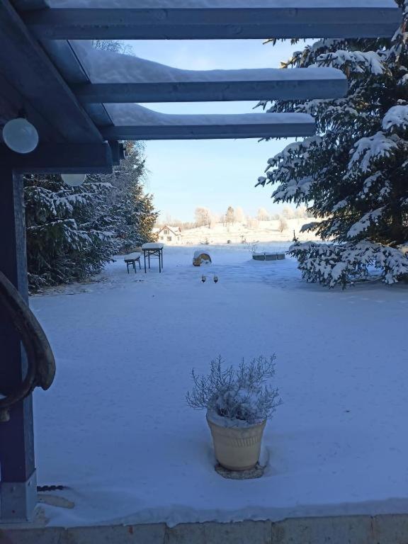 Marchewkowe Pole Villa Sosnina ภายนอก รูปภาพ